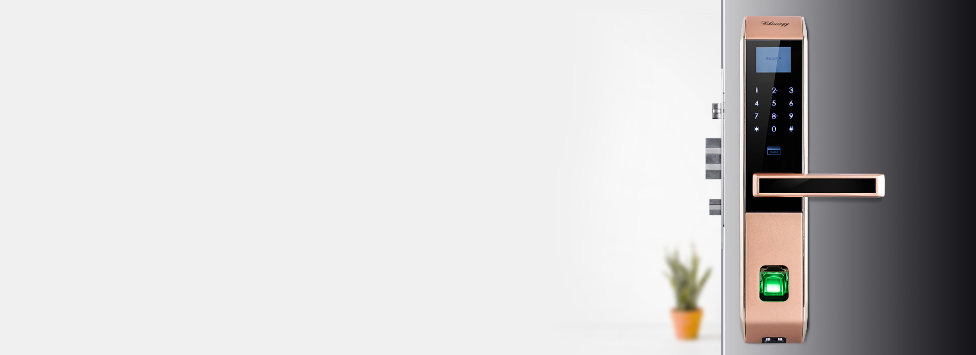 虚位密码保护,虚实结合
 正泰智能锁LO...