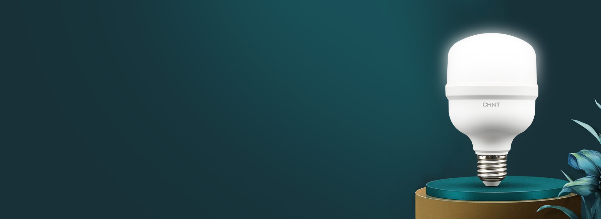 十亮系列球泡(T泡)
 芯视界,新精彩。...