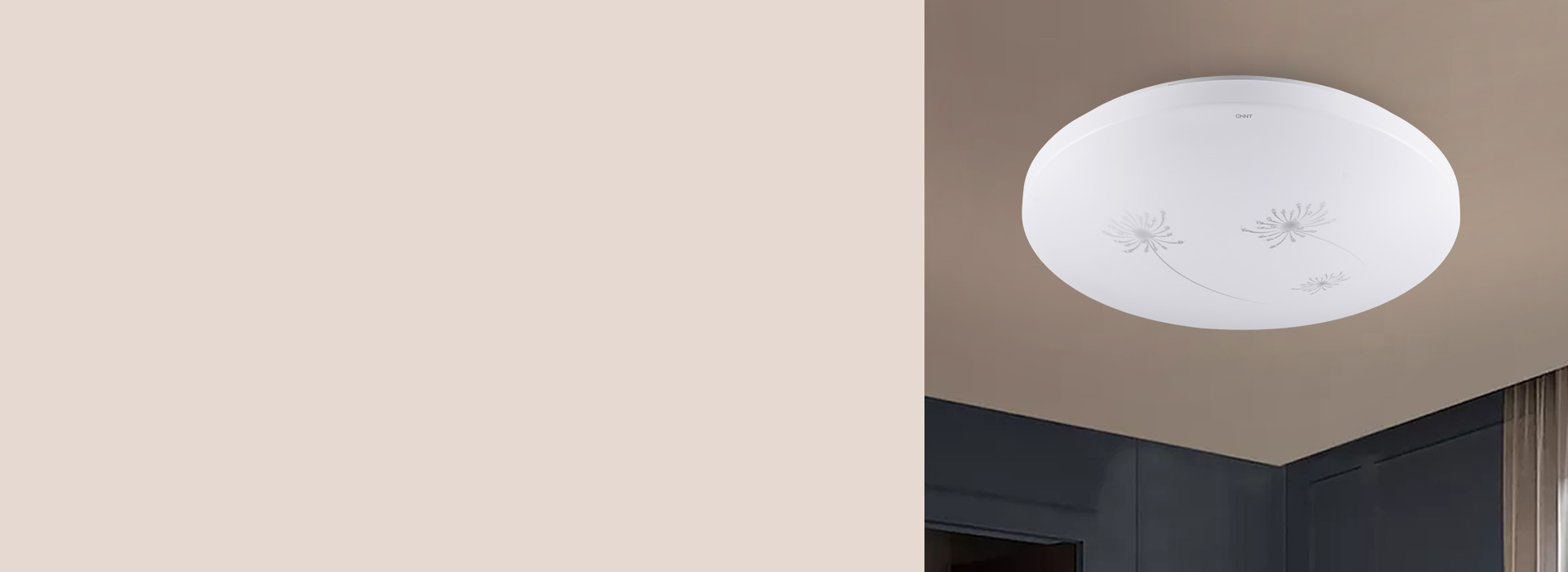 蒲公英款
 烂漫风光,沉醉在飘飞的思绪中...