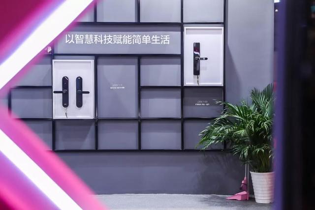 2019̩չȫ¼