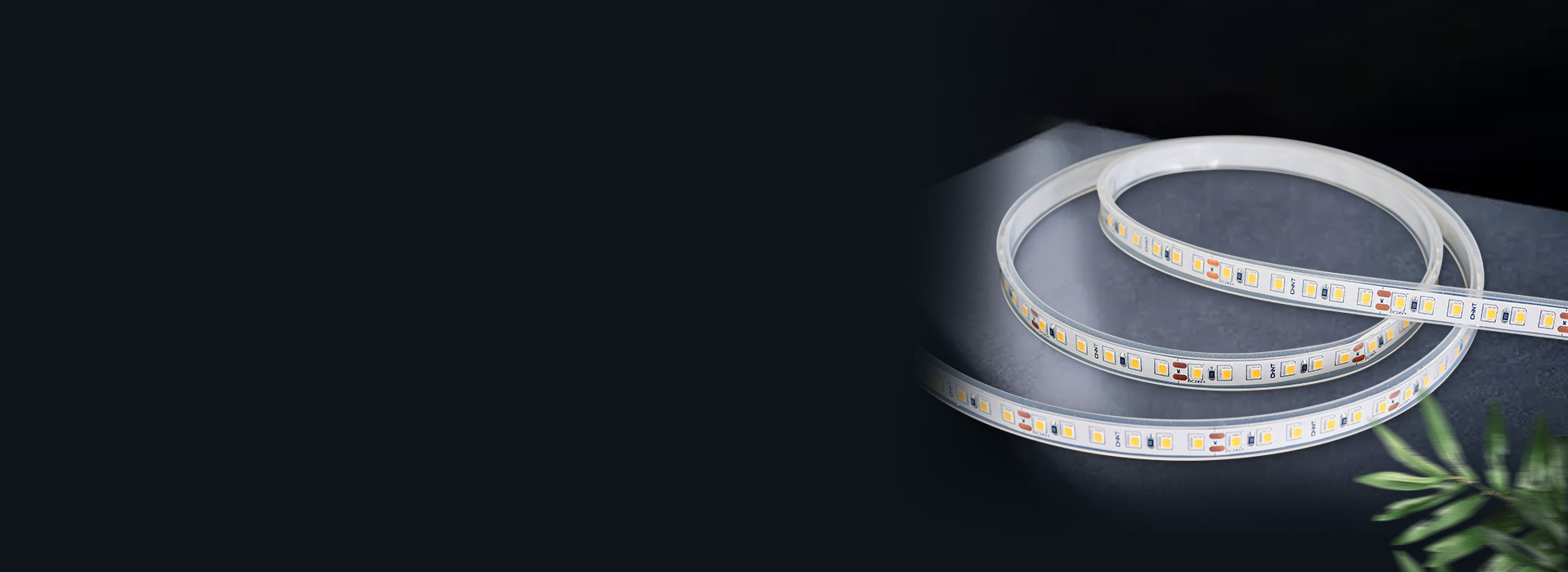 DD32/33系列低压灯带
 安全低压,...