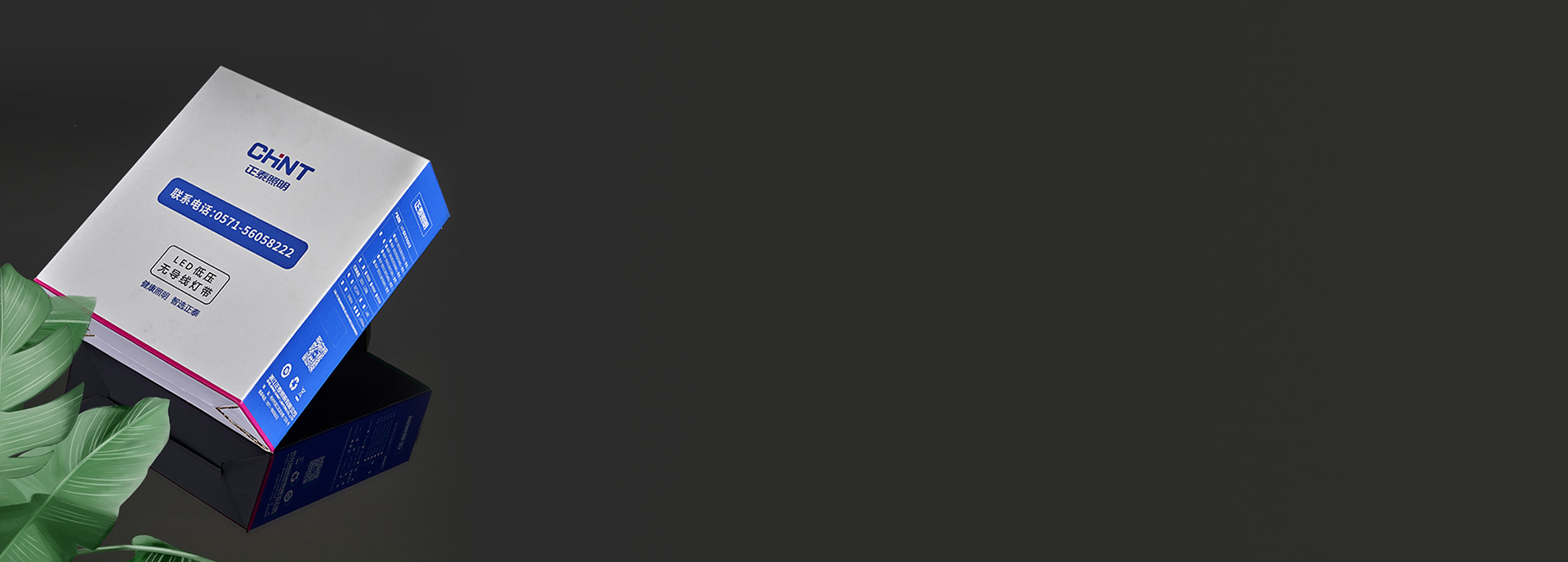 品质包装,高端格调
 正泰照明低压灯带D...