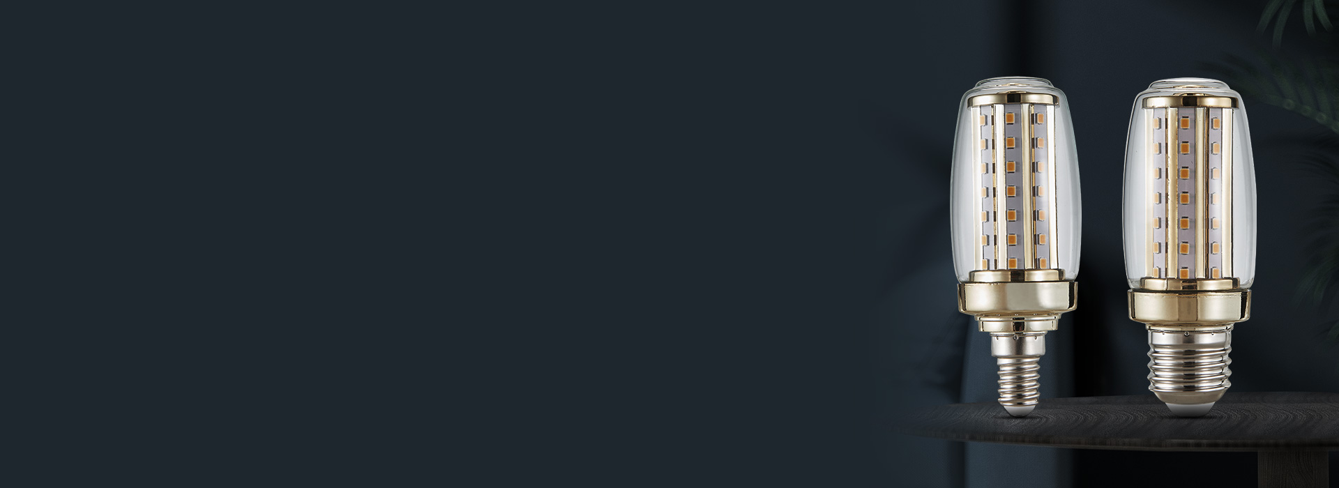 玉米灯:QP28/29系列
 高亮节能,...