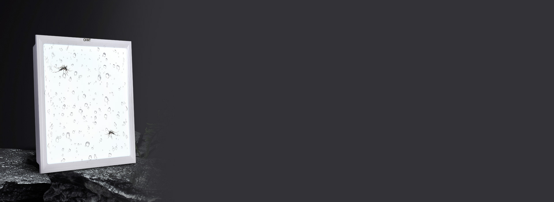 һ廯գ
 һ壬ó桢...