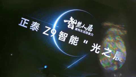 ̩Z9ɳ-1