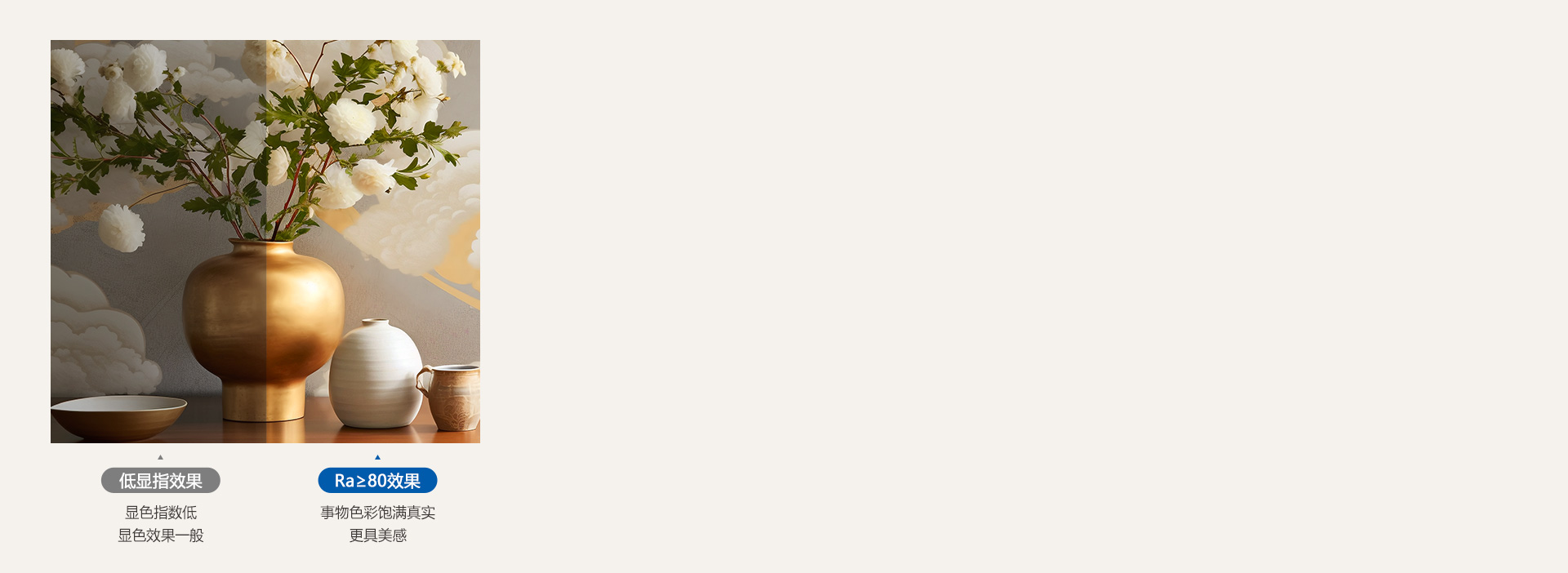 真实显色,照出事物本真色彩
 光线下事物...