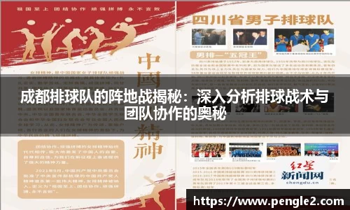 成都排球队的阵地战揭秘：深入分析排球战术与团队协作的奥秘